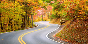 curvy road in the fall